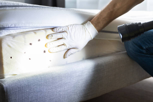 Best Affordable Pest Control Services  in Pughtown, PA