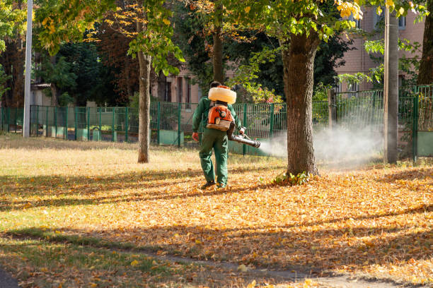 Best Bird Control  in Pughtown, PA