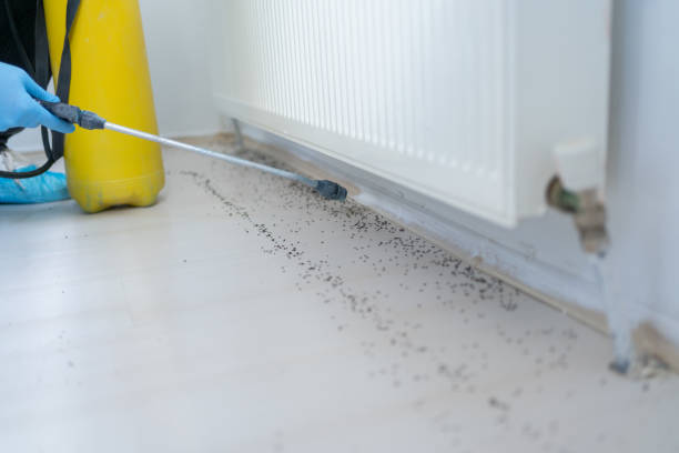 Best Pest Control Treatment  in Pughtown, PA