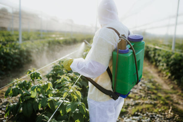 Wildlife Control Services in Pughtown, PA